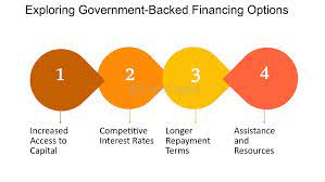 Government backed financing solutions